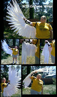 Bird Feather Costume