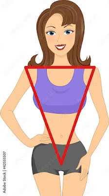 6. उलटा त्रिभुज शरीर का आकार(Inverted Triangle Body Shape)