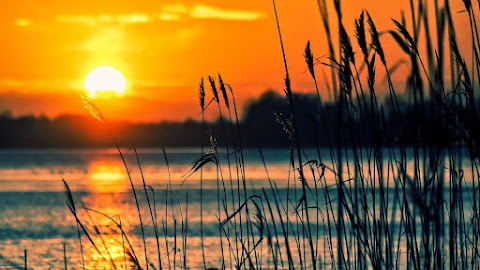 Beauty of a Sunset and Lake