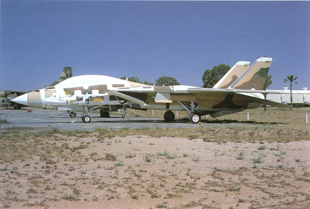 Grumman F-14A BuNo 160378 AMARC