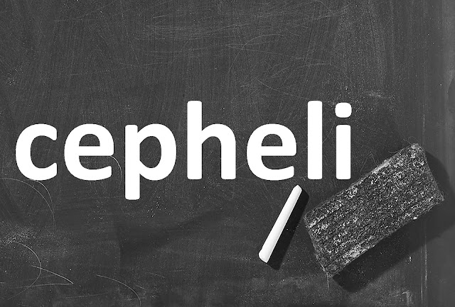 cepheli