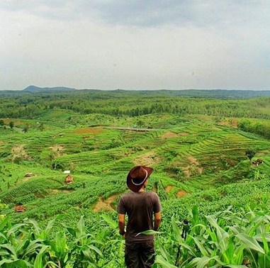 Daya Tarik Obyek Wisata Bukit Cariang Di Cibingbin Kuningan