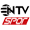 NTV Spor izle