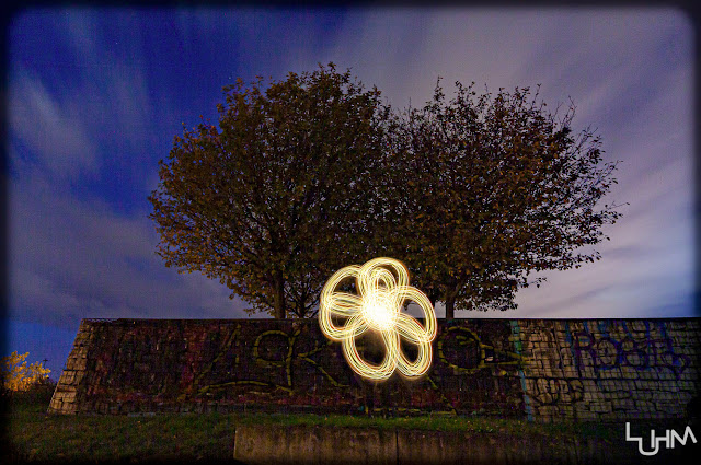 Lightpainting Blume