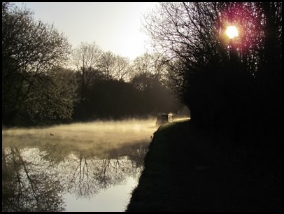 Morning Mist