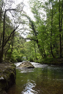 Torrent de la Vernaison