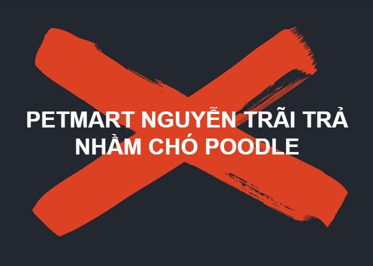 PETMART NGUYỄN TRÃI - HÀ NỘI TRẢ NHẦM CHÓ POODLE