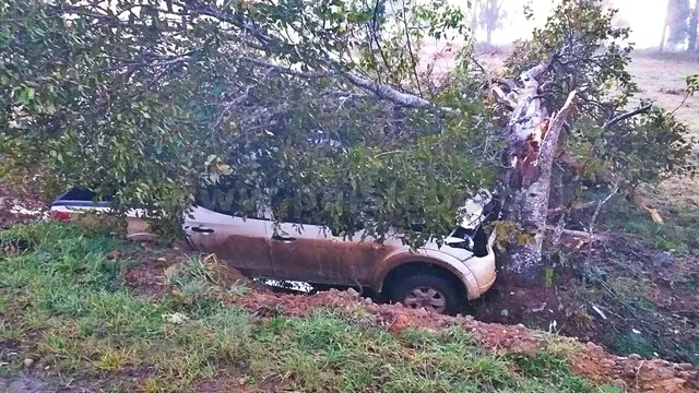 Camioneta choca contra árbol