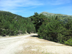 Ruta en bici de Cercedilla a Segovia, junio 2012