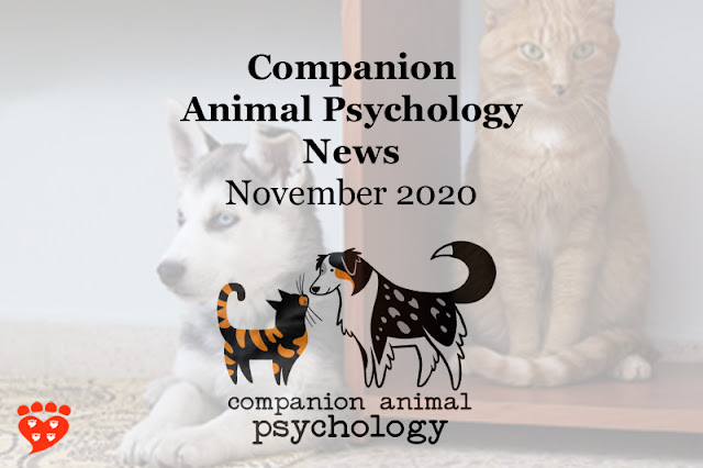 Companion Animal Psychology News November 2020