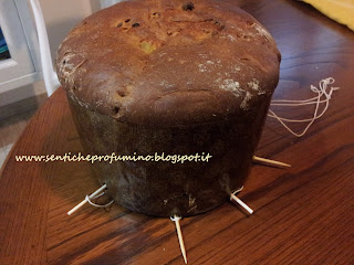 La ricetta del mio Panettone con lievito di birra