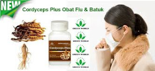 Obat Batuk Yang Paling Jitu