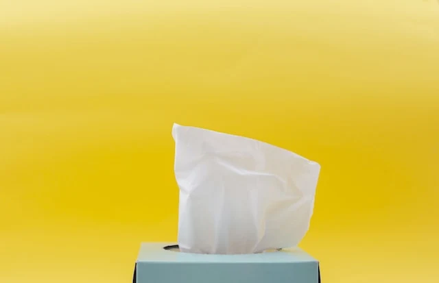 Wet Wipes - Everything You Need to Know