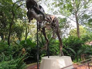 T Rex Fossil Dinoland Disney's Animal Kingdom