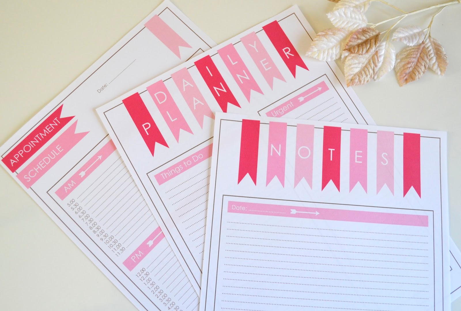 https://www.etsy.com/listing/199050546/daily-planner-schedule-and-notes-pink?ref=shop_home_active_6