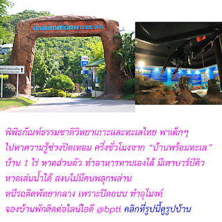   พิพิธภัณฑ์ธรรมชาติวิทยาเกาะและทะเลไทย, พิพิธภัณฑ์ธรรมชาติวิทยาเกาะและทะเลไทย แผนที่, พิพิธภัณฑ์ธรรมชาติวิทยาเกาะและทะเลไทย pantip, พิพิธภัณฑ์ธรรมชาติวิทยาเกาะและทะเลไทย facebook, พิพิธภัณฑ์ธรรมชาติวิทยาเกาะและทะเลไทย ภาษาอังกฤษ, พิพิธภัณฑ์ธรรมชาติวิทยาเกาะและทะเลไทย ที่พัก, พิพิธภัณฑ์ธรรมชาติวิทยาเกาะและทะเลไทย ที่อยู่, พิพิธภัณฑ์ ธรรมชาติ วิทยา เกาะ และ ทะเล ไทย อาคาร 1, พิพิธภัณฑ์ธรรมชาติวิทยาเกาะและทะเลไทย การเดินทาง