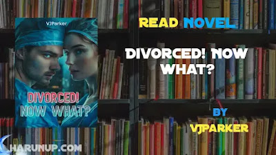 Divorced! Now what? Novel