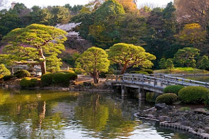 Beautiful Shinjuku Gyoen National Garden