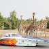 Nuon Solar Team onthult ’s werelds slimste zonneauto op ‘Zuid-Afrikaanse’ safari