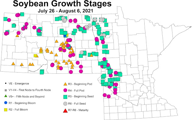 Map of growth stages of soybeans in fields scouted