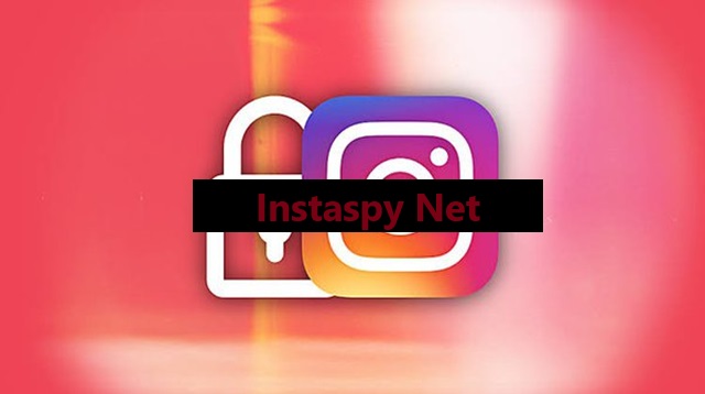 Instaspy Net