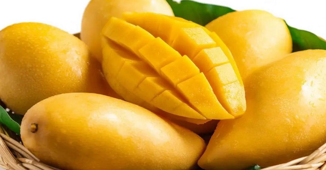 Pakistan is Now Producing Sugar-Free Mangoes for Diabetics