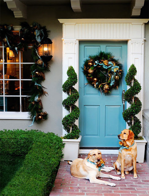 entrance door