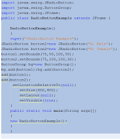 Java JRadioButton Example
