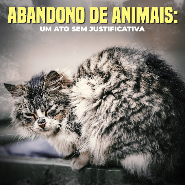 Não há razão que justifique o abandono de um animal!
