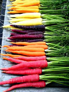 Carrots of many colors