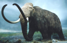 gambar hewan purba, binatang purbakala, dinosaurus masa lampau, gajah berculu dua, gading panjang