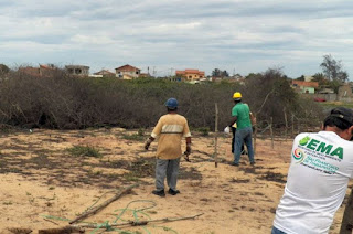 http://vnoticia.com.br/noticia/2195-operacao-alicate-prefeitura-de-sfi-desocupa-100-mil-m-em-areas-de-preservacao-permanente