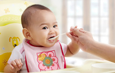 Makanan Bayi 6 Bulan Pertama