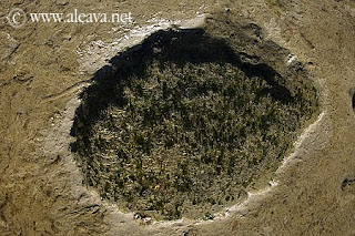 Restingas de Puerto Pirámides - Naturaleza y aventura a cada paso