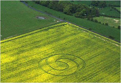 Amazing Crop Circle