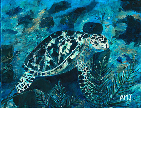 Sea turtle, French Cay- 5"x7" art card