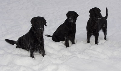 2010_1222test0015
