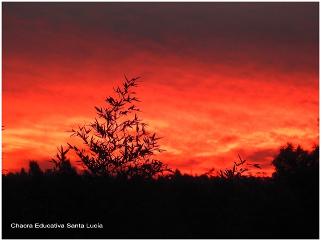 Cielo rojo anaranjado al atardecer - Chacra Educativa Santa Lucía