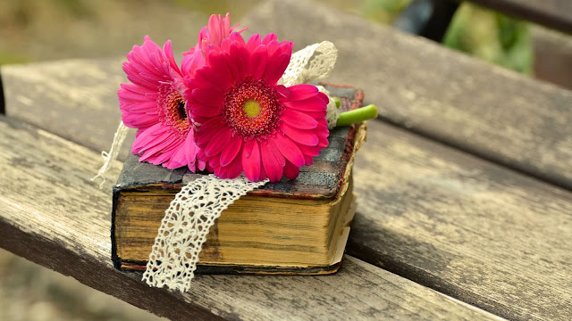 Old Book Gerbera Flowers HD Wallpaper