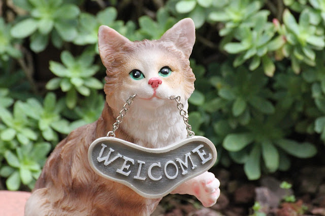 Welcome a cat