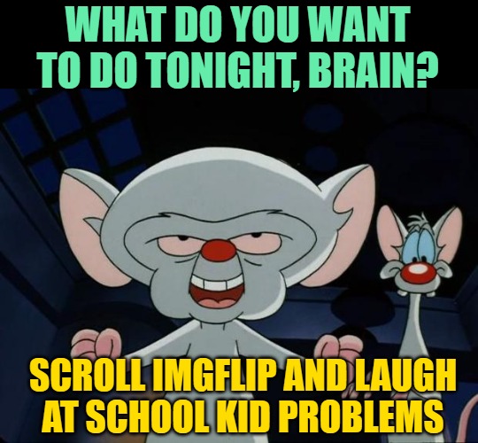 Q: What do you want to do tonight, Brain? A: Scroll Imgflip and laugh at school kid problems. (JenExxifer | GenX Housewife Memes)