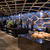 Retail Interior Design | Hugo Boss | New York | Callison