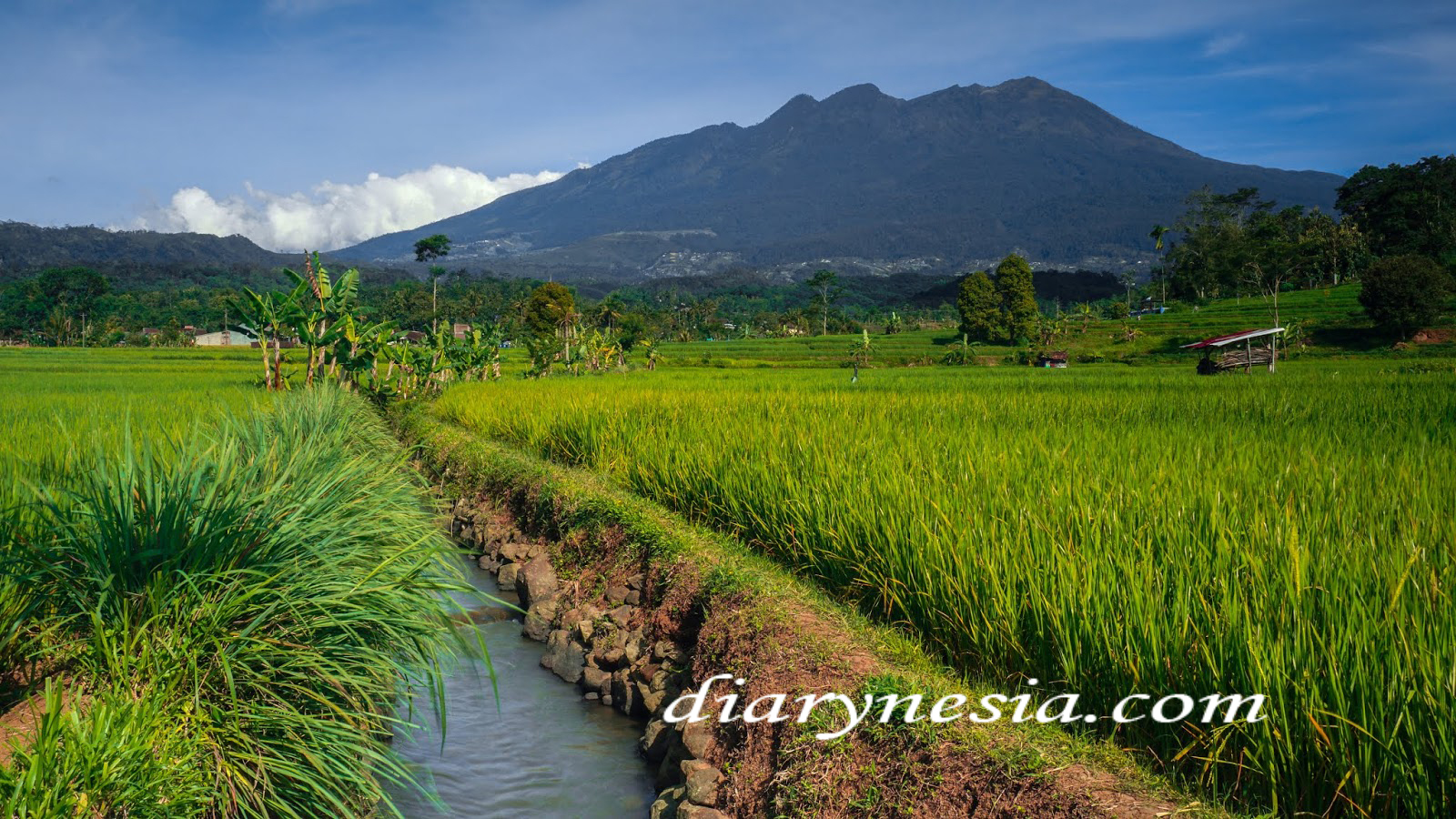 Hiking vacations Indonesia, Mountain Tours and Hikes, Hiking trips Indonesia, diarynesia