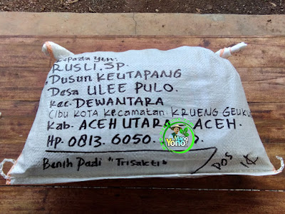 Benih pesanan  RUSLI. SP Aceh Utara, Aceh.  (Setelah Packing)