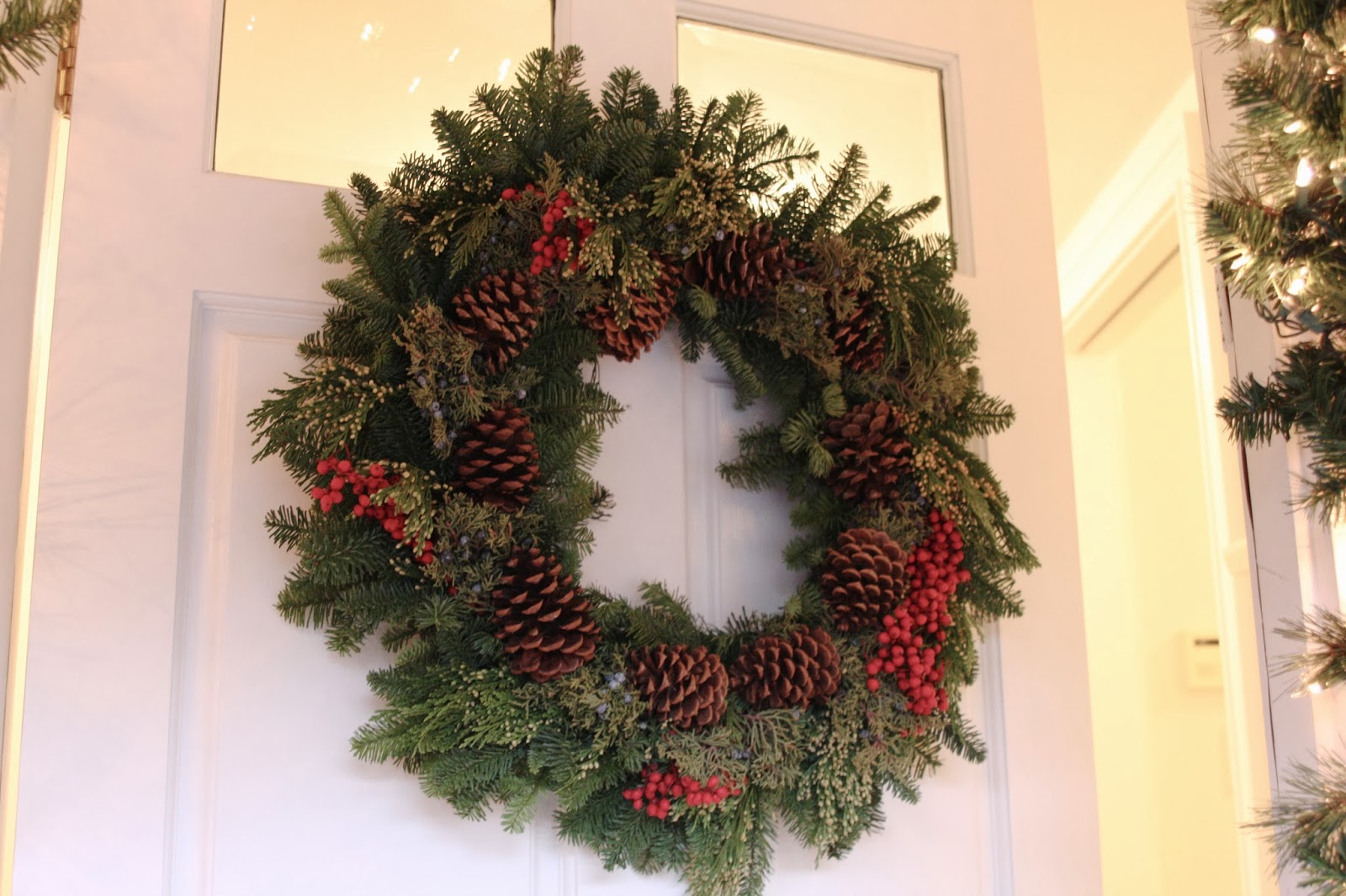 The poinsettias? From Costco!…