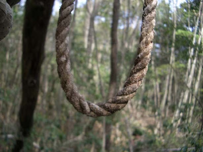 Khu rừng tự sát nổi tiếng nhất Nhật Bản