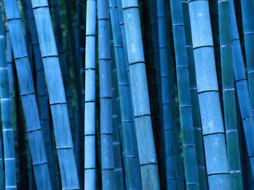 Wallpaper Bambu Terbaik