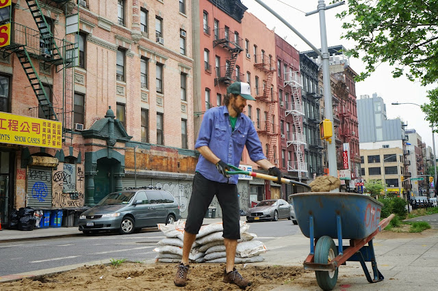 New York Urban Gardening