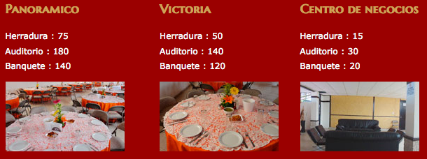 http://www.hotelrealmadero.com/servicios.html