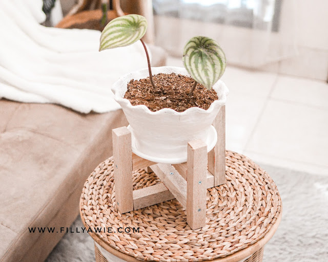 DIY Standing Pot